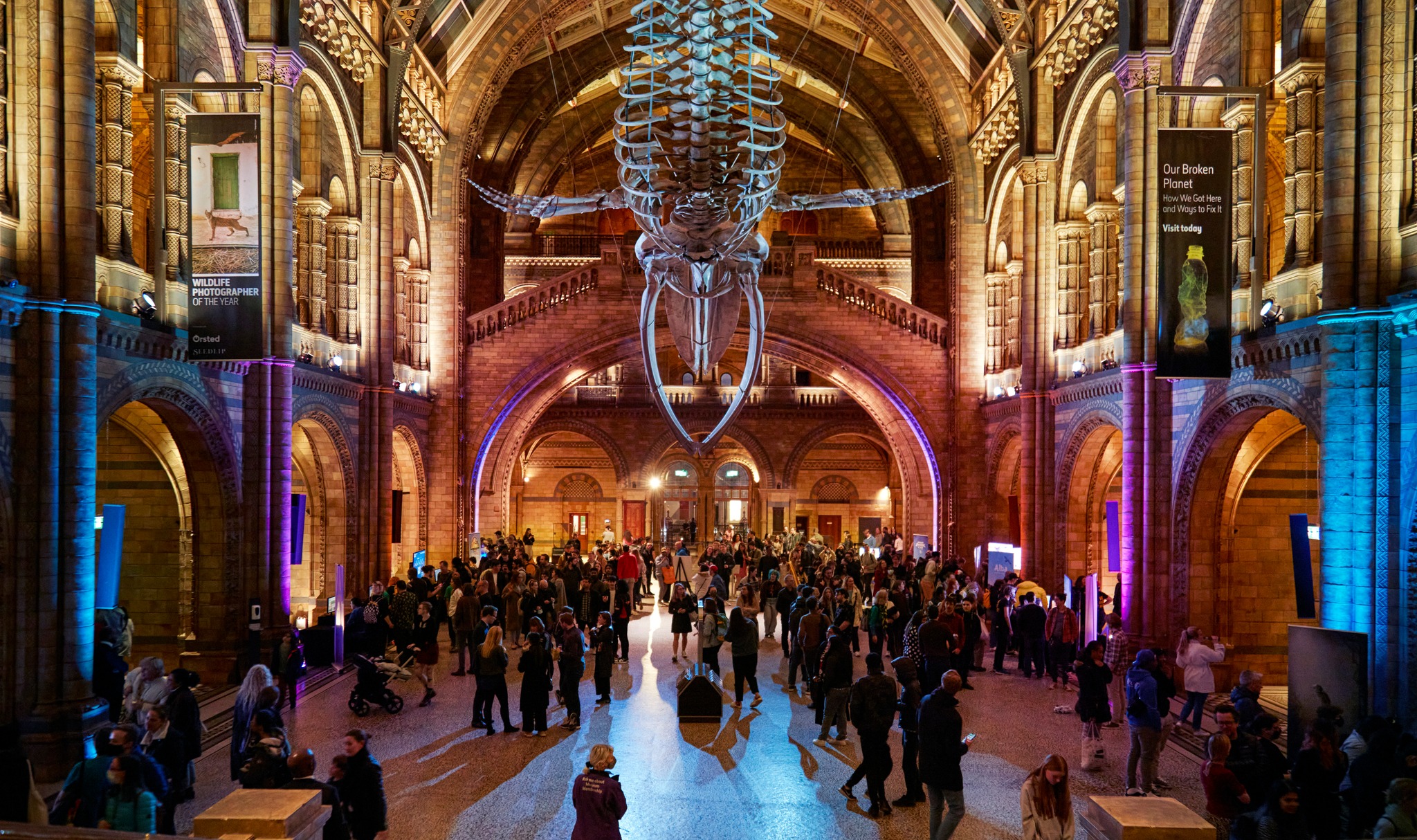 The Natural History Museum's large hall with people inside