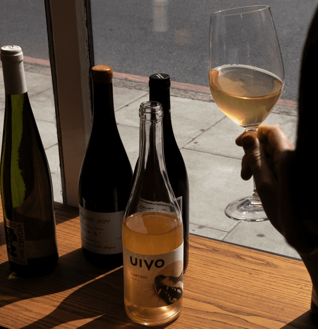 Person holding a wine glass with wine bottles at Little Cellars in Camberwell London