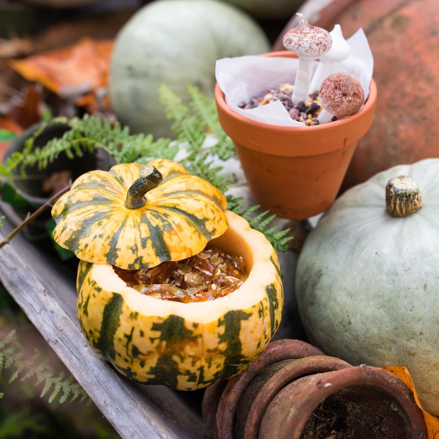 Cowcross Yards Halloween pick-your-own pumpkin patch October 2023 