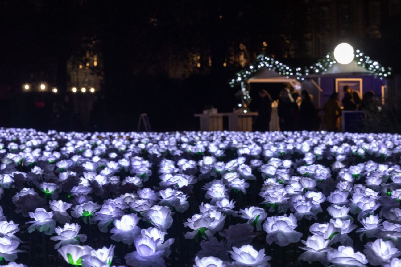 White rose Christmas lights at The Ever After Garden in Mayfair, London