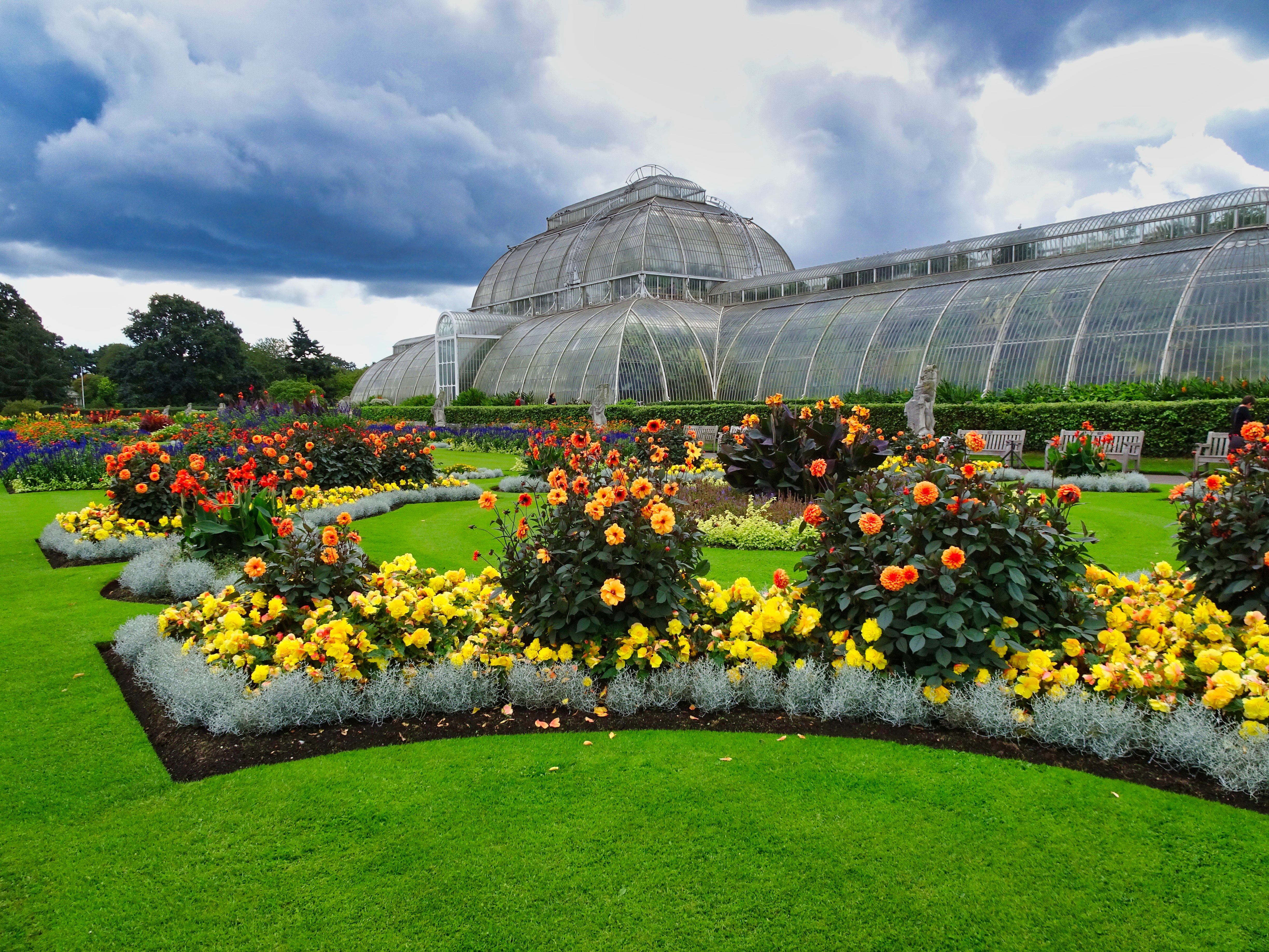 greenhouse and bright colourful flowers at kew gardens