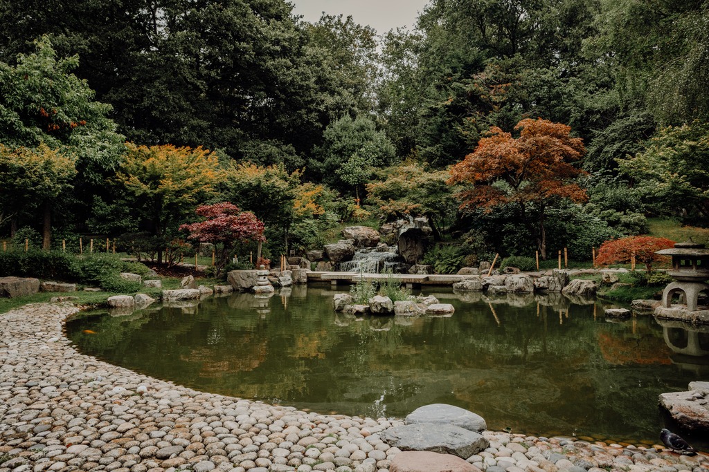 autumn trees, pond, and bench at Kyoto Gardens
