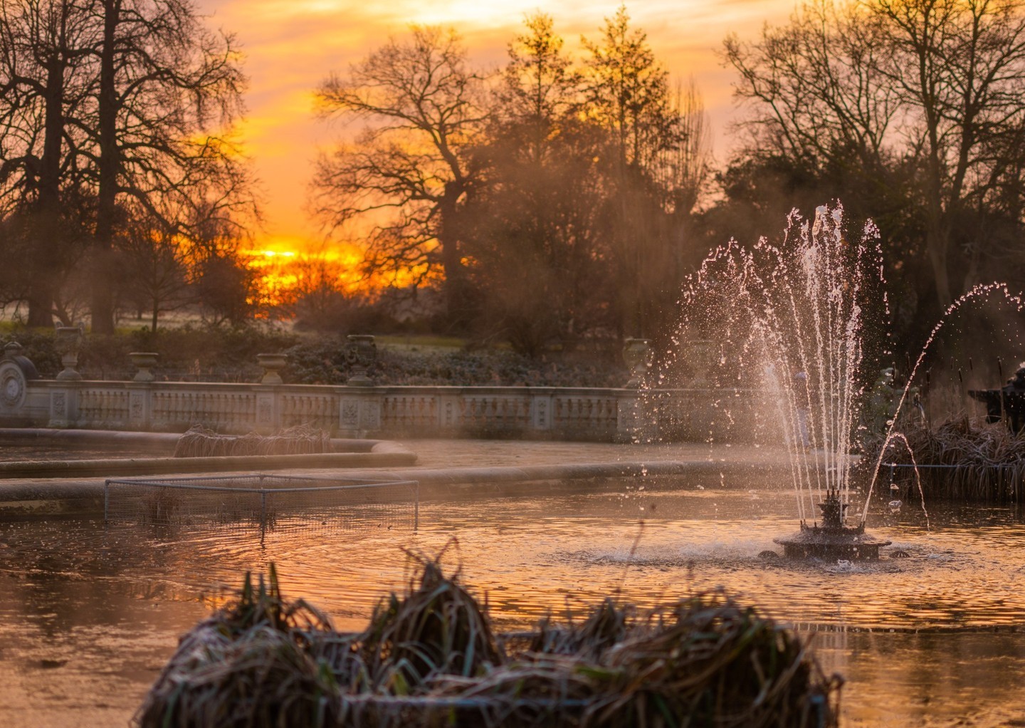 sunset and fountain at kensington gardens
